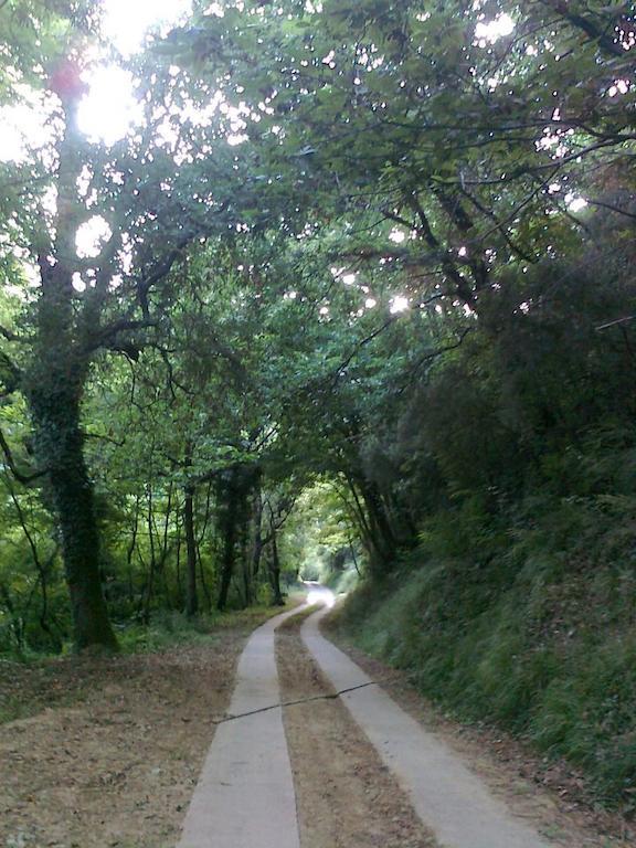 Agriturismo Il Pillone Montecatini Terme Buitenkant foto